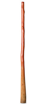 CrookedStixz Didgeridoo (AH364)